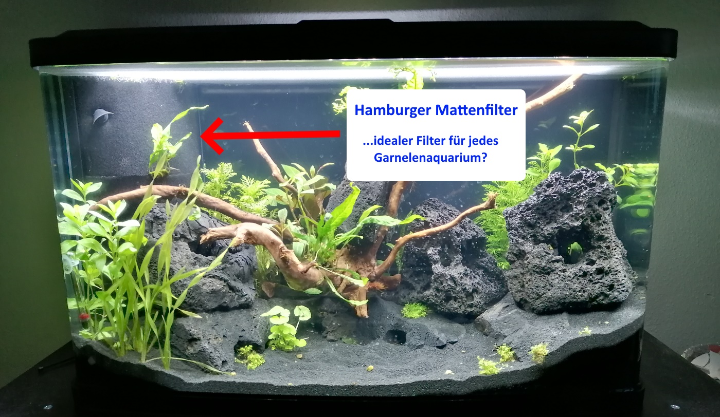 Aquarium - HMF - Hamburger Mattenfilter Eigenbau